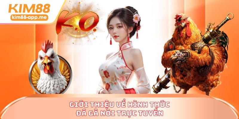 Giới thiệu về hình thức đá gà nòi trực tuyến Giới thiệu về hình thức đá gà nòi trực tuyến